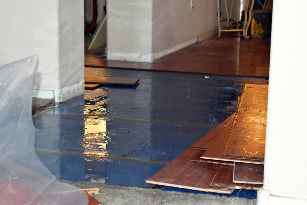 Professional Basement Flood Cleanup technician working in Sumrall, MS